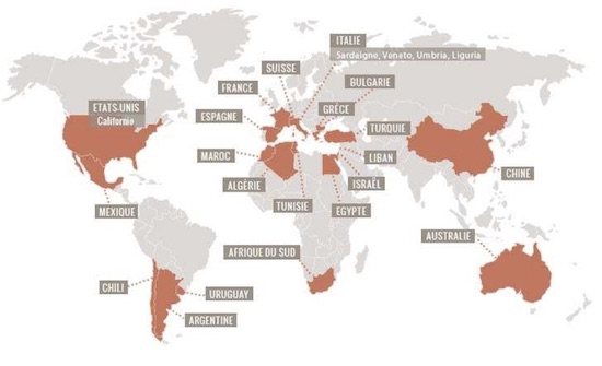 mapa-garnachas-mundo
