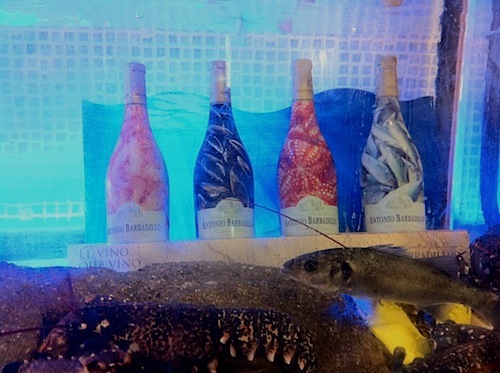 Marketing del vino que vino del mar